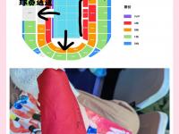 爱游戏足球体育-世俱杯举办城市旅游攻略(2021世俱杯承办城市是哪几个)