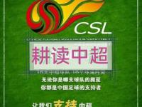 爱游戏体育在线入口-比赛赛程调整，胜势赢家逐渐显现的简单介绍