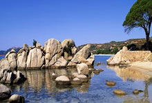 昂热主场大胜，球迷情绪高涨