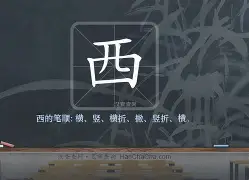 西悉尼流浪者技战术演练密集，冲刺冠军全力以赴